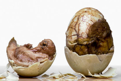 BALUT EATING EGGS (12 Day) One Dozen or More Jumbo Brown Corturnix EATING Quail Eggs As Low As $0.60